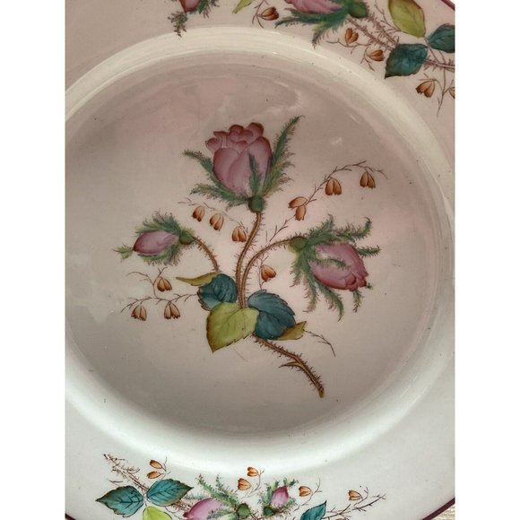 Moss Rose Ironstone 1890 - 1920 DINNER PLATE Beautiful Cottagecore Piece - Picture 10 of 12
